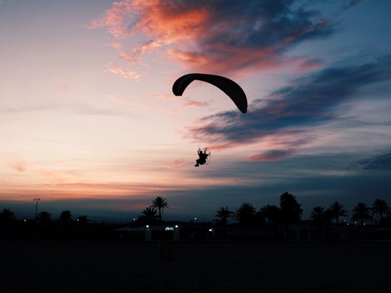 Wolf Paragliding Service